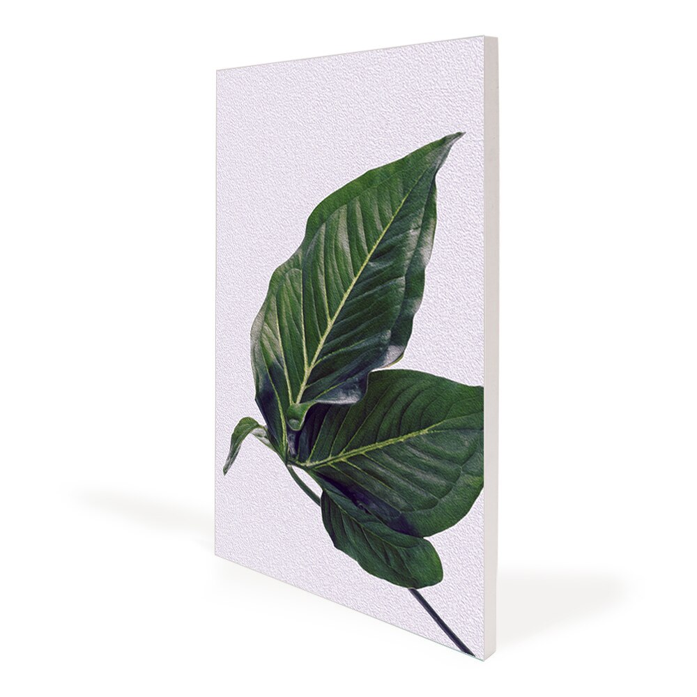 Aspen Slim Fabric Frames - Wall Mounted 3 Pack (19MM SEG Extrusion)