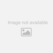 24 in. x 66 in. Econoroll Retractable Banner Stand (Stand Only)